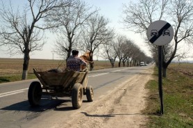 Un bărbat va primi o amendă de până la 25 000 de lei, după ce s-a urcat băut în căruță
